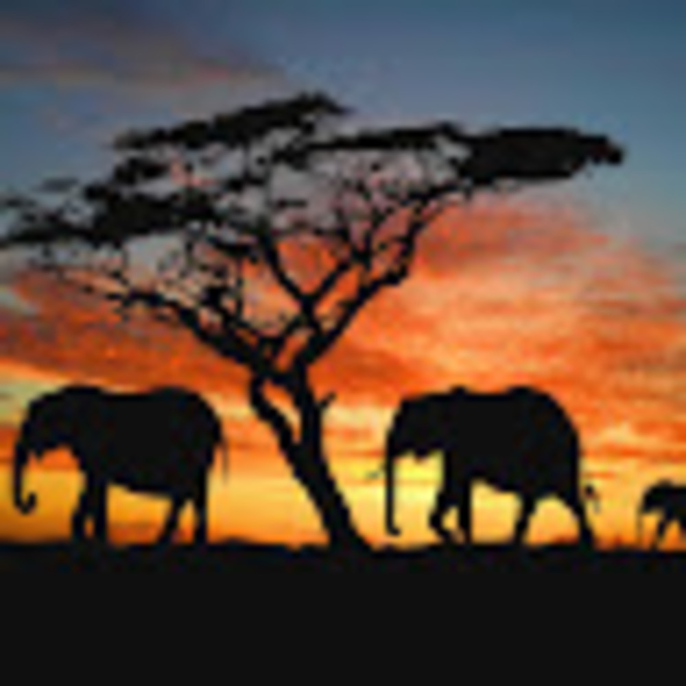 Meet your Posher, Awa m.m.